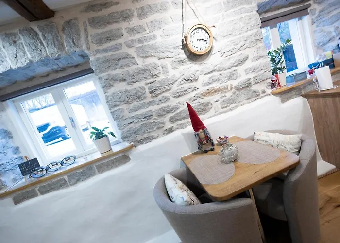 Like Salme 31 塔林