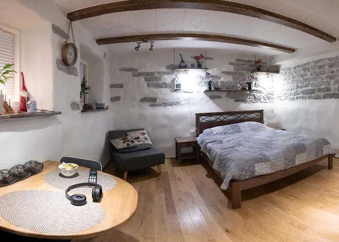 Like Salme 31 塔林